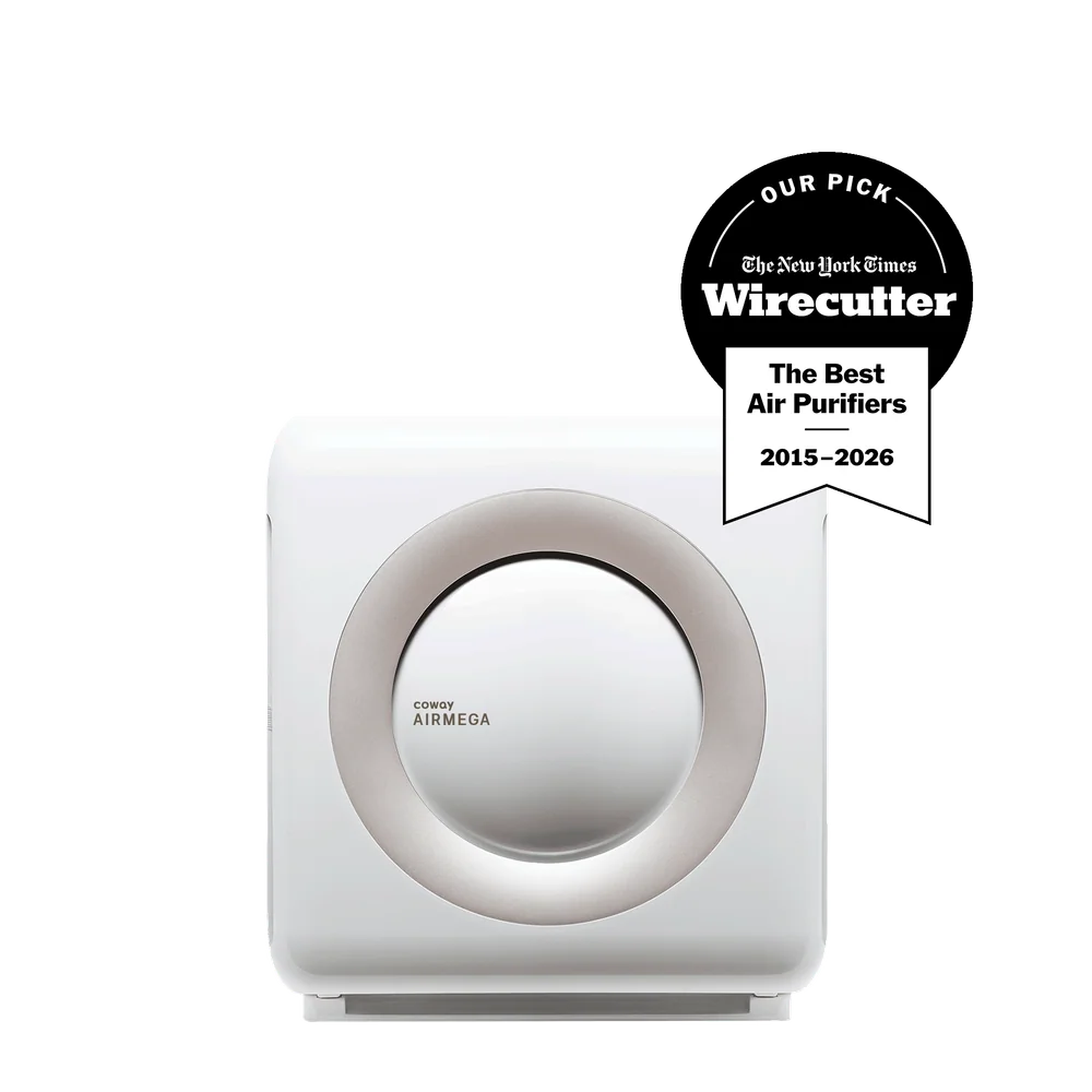 Air Purifiers product research