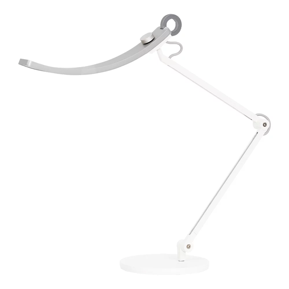 BenQ WiT e-Reading Desk Lamp (Matte Silver)